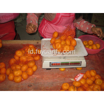 Nanfeng Bayi Mandarin segar